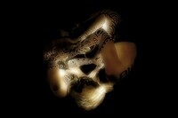 飯田将茂のプレスリリース画像9