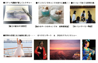 株式会社シーライン東京のプレスリリース画像1