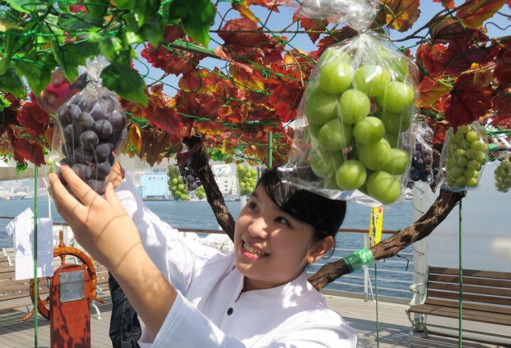 株式会社シーライン東京のプレスリリース画像2