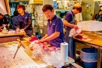 株式会社ノメルのプレスリリース