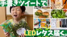 うどよしのプレスリリース画像1