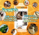 株式会社mepushyのプレスリリース