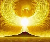 Sincerityのプレスリリース