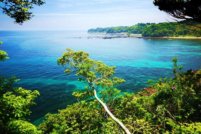 株式会社Meteo　Jamのプレスリリース画像6