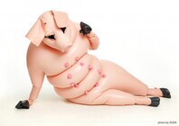 サディスティックサーカス事務局のプレスリリース画像5