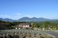 Cozy Style Partyのプレスリリース画像1