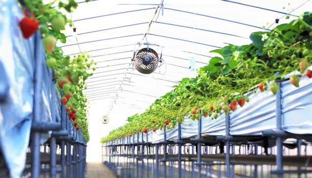 Nara善のプレスリリース画像2