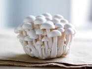 ホクト株式会社のプレスリリース画像2