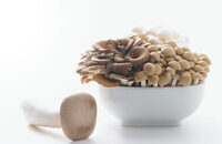 ホクト株式会社のプレスリリース画像3