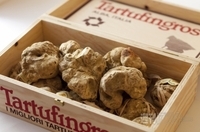 株式会社ナチュラルフーズのプレスリリース画像1