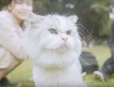 CTJ株式会社のプレスリリース画像3