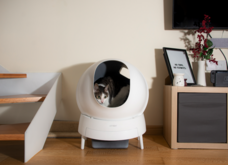 CTJ株式会社のプレスリリース画像1