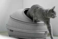 CTJ株式会社のプレスリリース画像4