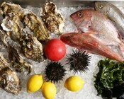 MICHI FISH&amp;OYSTER／株式会社ディーアールのプレスリリース画像4