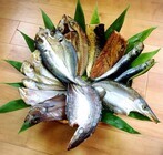 有限会社 カツラ商事のプレスリリース画像1