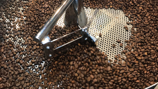 株式会社テクトニクスのプレスリリース画像4