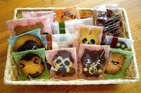 Rainetteのプレスリリース画像3