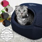 株式会社ラディカのプレスリリース画像1