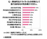 興和株式会社のプレスリリース画像4