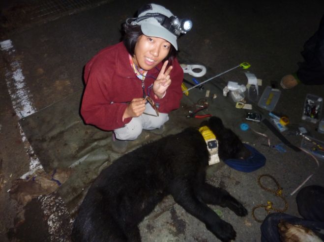 株式会社Nature &amp; Science Consulting　(NSC)のプレスリリース画像1