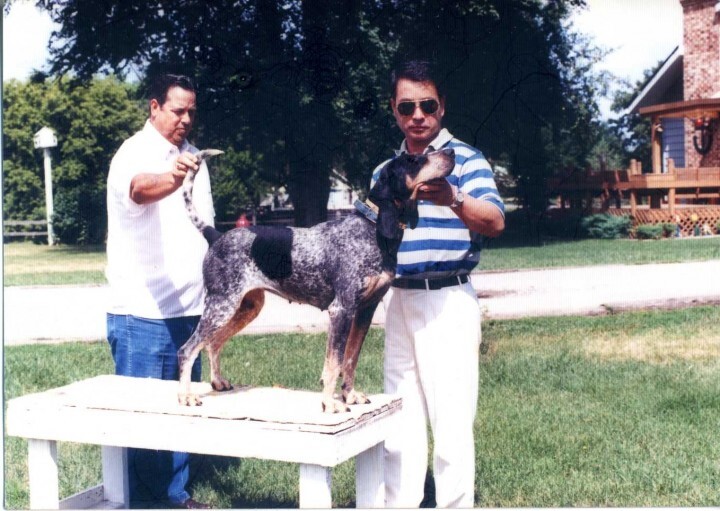 株式会社Nature &amp; Science Consulting　(NSC)のプレスリリース画像4