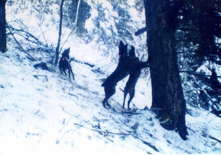 株式会社Nature &amp; Science Consulting　(NSC)のプレスリリース画像3