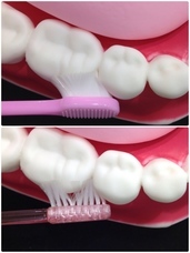 株式会社ガレージワンのプレスリリース画像2