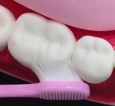 株式会社ガレージワンのプレスリリース画像4