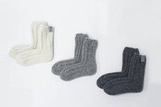 株式会社フクシンのプレスリリース画像3