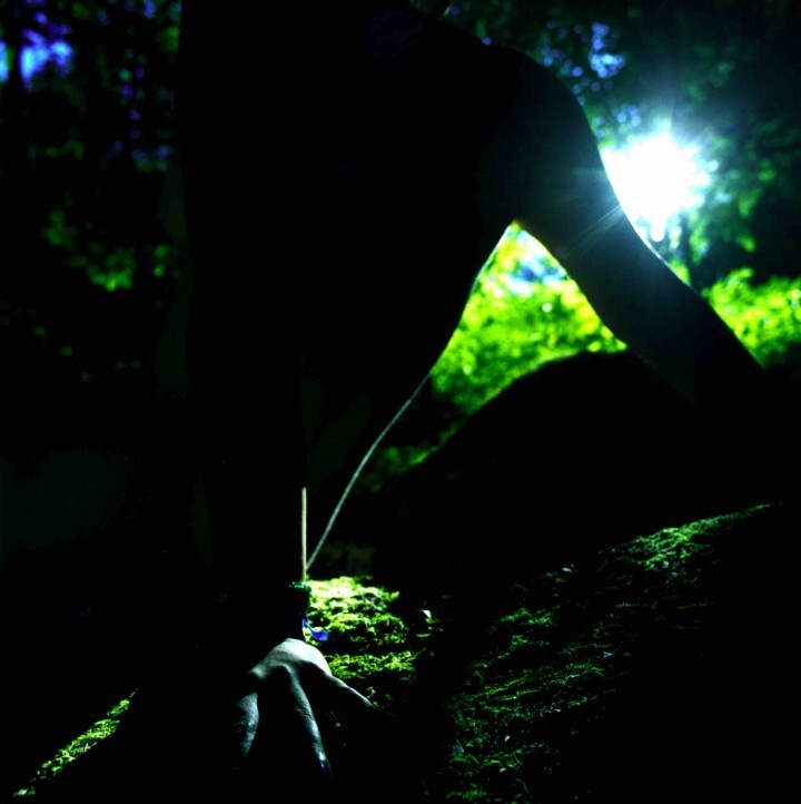 HaLoのプレスリリース画像1