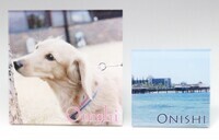 株式会社Ｏｎｅ’ｓ　Ｓｍｉｌｅのプレスリリース画像2