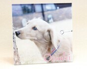 株式会社Ｏｎｅ’ｓ　Ｓｍｉｌｅのプレスリリース