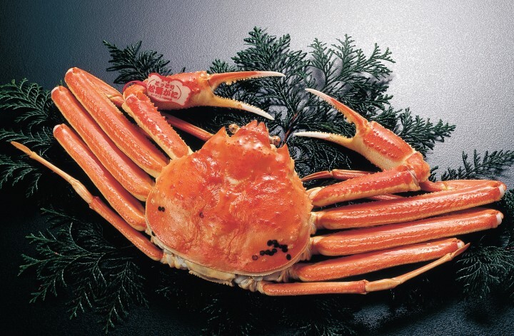 鳥取県のプレスリリース画像2