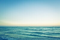 maneoマーケット株式会社のプレスリリース画像3