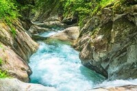 maneoマーケット株式会社のプレスリリース画像2