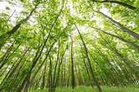 maneoマーケット株式会社のプレスリリース画像4