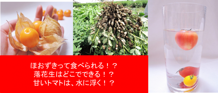 株式会社ヴァカボのプレスリリース画像3