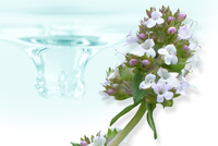 株式会社ビューティフルエンジェルのプレスリリース画像4