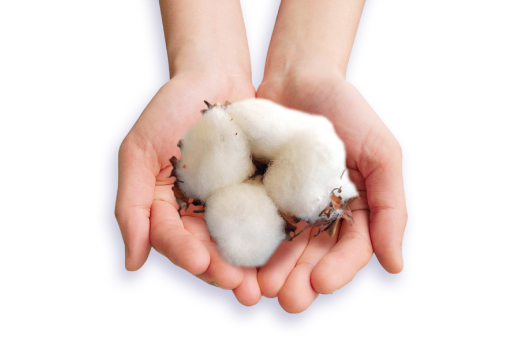 株式会社ビューティフルエンジェルのプレスリリース画像5