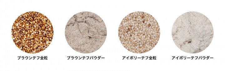 株式会社ノルデステのプレスリリース画像3