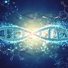 株式会社ノルデステのプレスリリース画像2