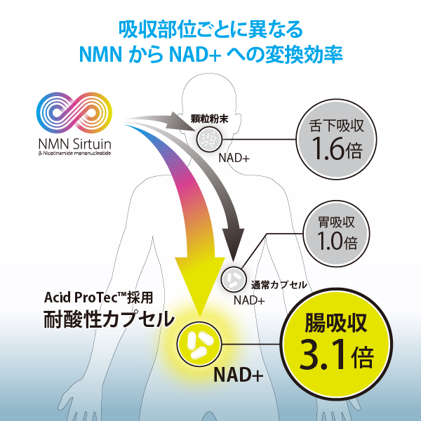 NMN Sirtuin 3000 サーチュイン 60粒入り - 虫類用品
