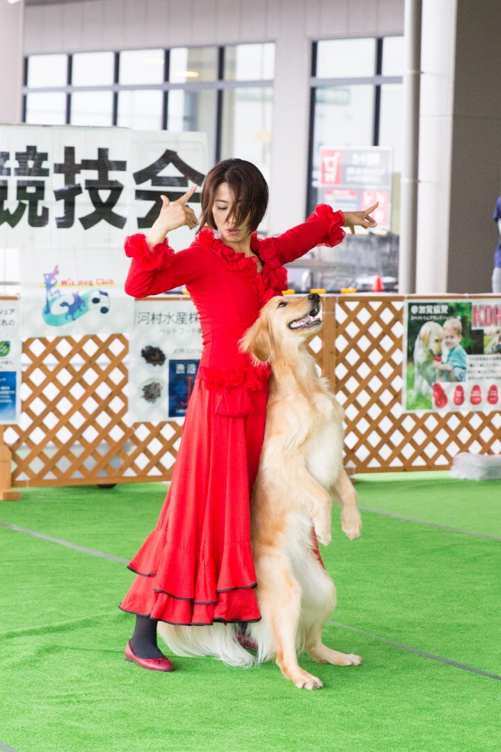 ウィジードッグクラブ株式会社のプレスリリース画像1