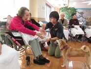 ウィジードッグクラブ株式会社のプレスリリース