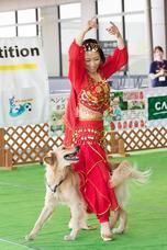 ウィジードッグクラブ株式会社のプレスリリース