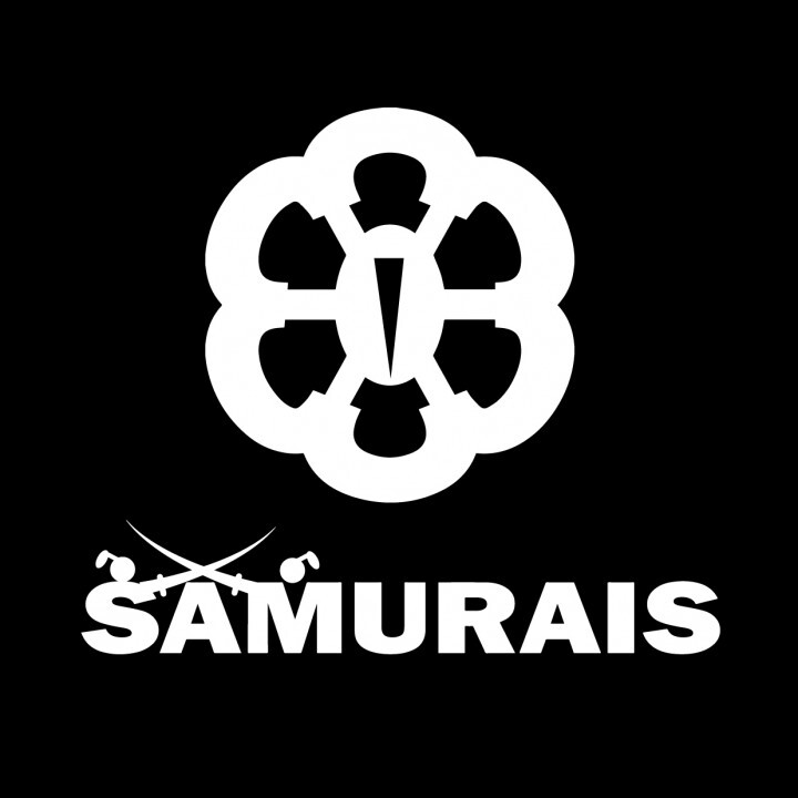 株式会社サムライズのプレスリリース画像4