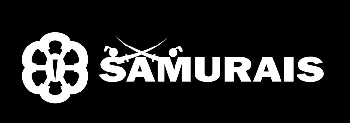 株式会社サムライズのプレスリリース画像3