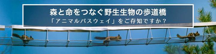 一般社団法人 アニマルパスウェイと野生生物の会のプレスリリース画像1