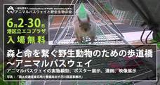 一般社団法人 アニマルパスウェイと野生生物の会のプレスリリース