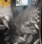 株式会社CREA FARMのプレスリリース画像7